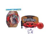 OBL985988 - Basketball board / basketball